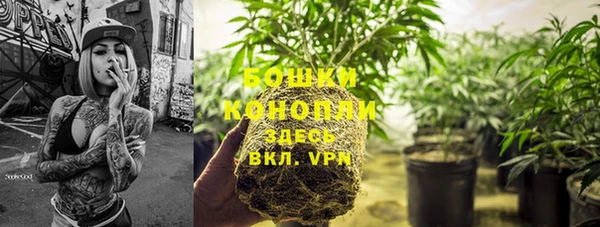 индика Верея
