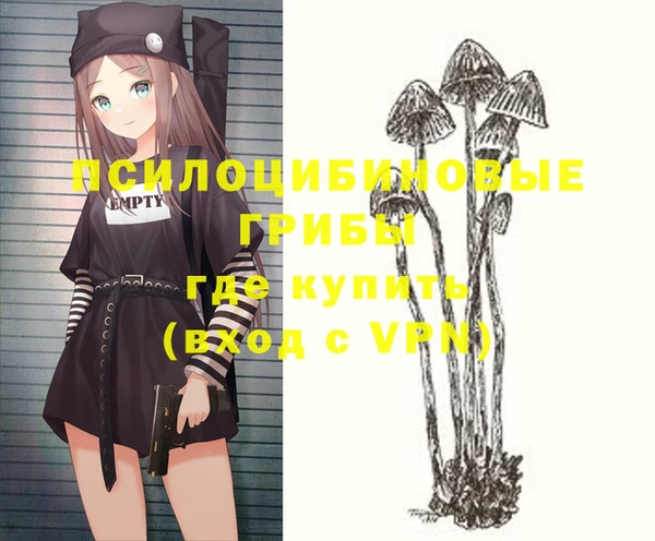 индика Верея