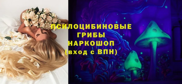 индика Верея