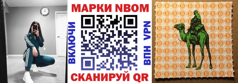 гидра как зайти Венёв мориарти телеграм Марки 25I-NBOMe 1500мкг